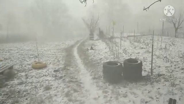 Коротко о погоде в Молдавии 🇦🇩❄️ смотреть онлайн