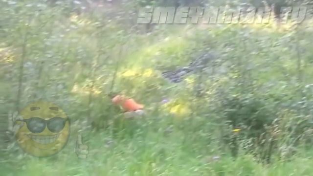Жесть чувак упал с велика а дебилы смеются. Прикол ржач юмор 2016 смотреть онлайн
