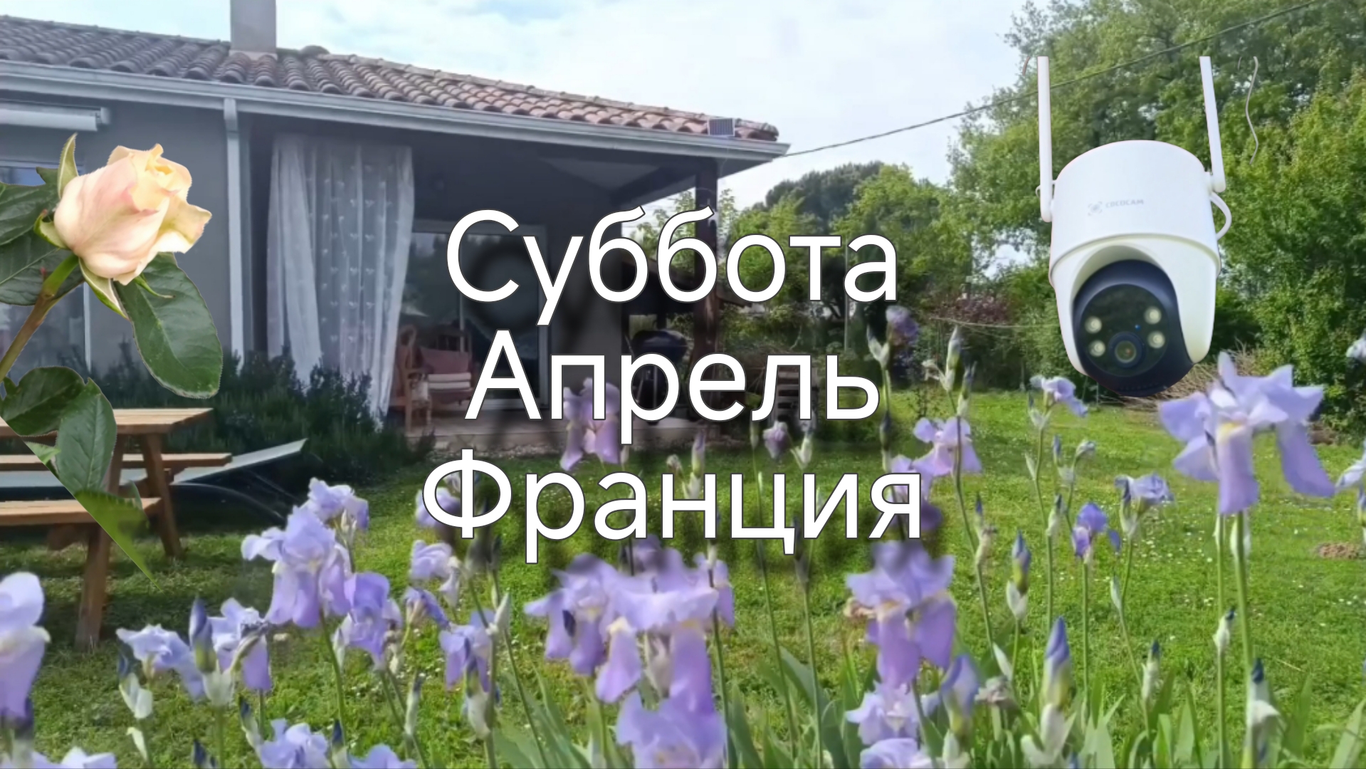 Тропическая погода. Новости про компьютер. Камера 4G #cococam смотреть онлайн