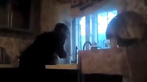 Самый тупой цыганские приколы
