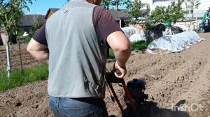 Окучка картошки  культиватором « Крот».