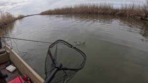 Астрахань 2025, с. Гандурино, часть 1