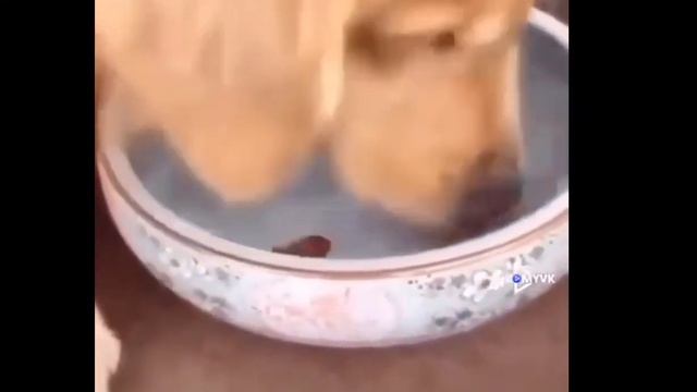 приколы года 1 смотреть онлайн