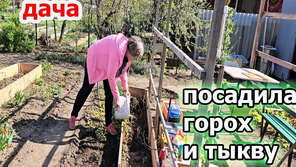 Дача.Посадила горох и тыкву.Все расцветает.Нужно уже копать огород.Апрель 2025 смотреть онлайн