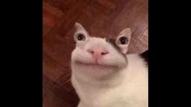 картинки со смыслом😔😭 смотреть онлайн