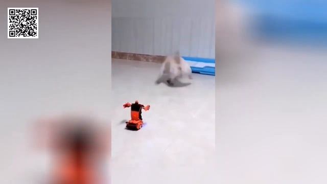 Самые смешные животные / Приколы с котами и собаками 2023 #shorts смотреть онлайн