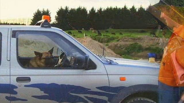 Авто Приколы Funny car ! Ukrainian and russian part 6 !!! смотреть онлайн