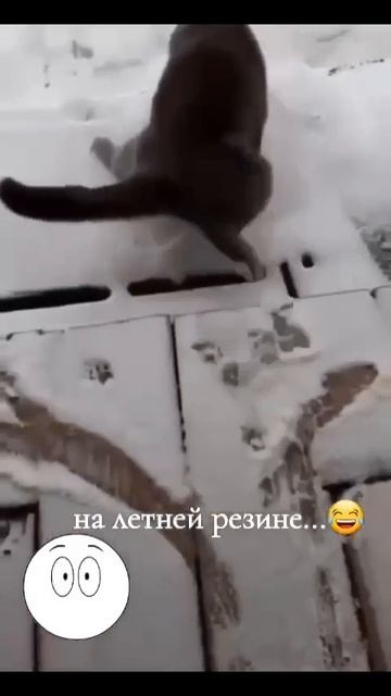 на летней резине