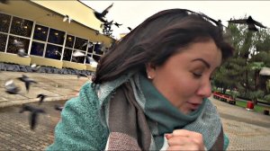 ВЛОГ ДАШУ ОБОКРАЛИ * НА МЕНЯ НАПАЛИ ГОЛУБИ * НАС СГЛАЗИЛИ