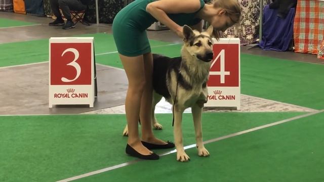 3 декабря 2016 г. смотреть онлайн