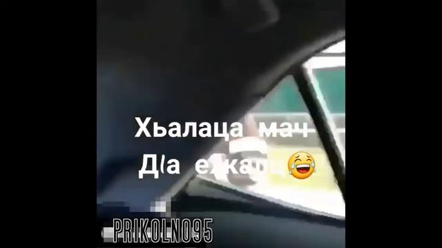 Тухугов встретился с Конором. Чеч Приколы Podborka 9vid. 2017