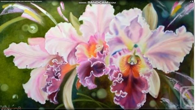 Five Winds Asset Management. КОМПАНИЯ № 1?! смотреть онлайн