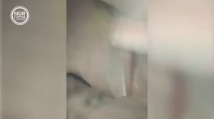 Жуткий рассказ пострадавшей  Пожар в ТРЦ Зимняя вишня в г  Кемерове