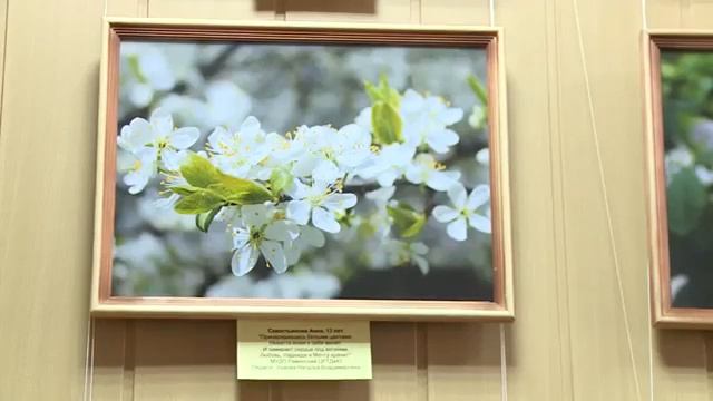 Выставка юных фотографов МУДО Раменского ЦРТДиЮ_Дыхание весны_05.04.2018 смотреть онлайн