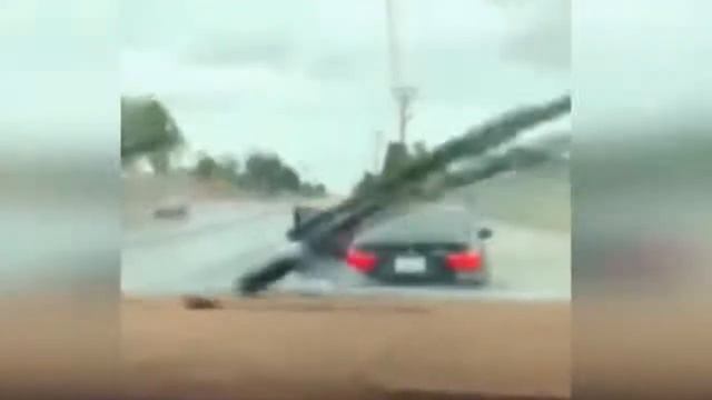 бабы дуры за рулем смотреть онлайн