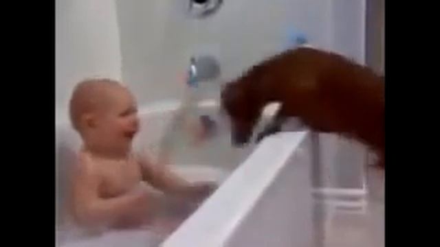 приколы смешные малыши смотреть онлайн