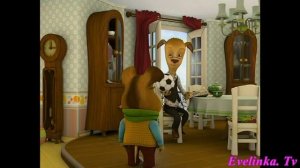 Кукутики ПАПА ( подборка барбоскины)