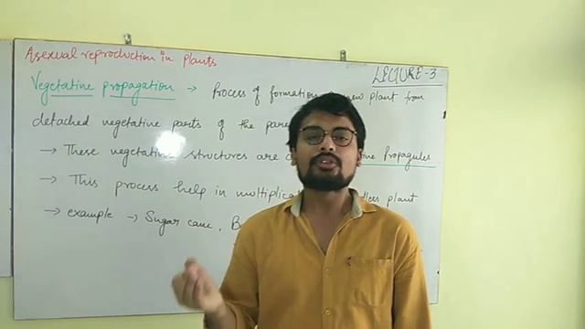 Class 12 Reproduction in organism L-3 смотреть онлайн