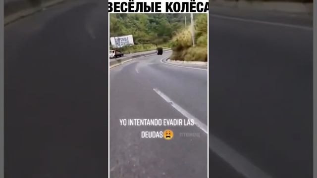 MY First CUbE #1 ¦ ЛУЧШЕ ПРИКОЛЫ 2021 ГОДА ¦ BEST VIDEO ¦ КУБЫ ¦ СМЕХ смотреть онлайн