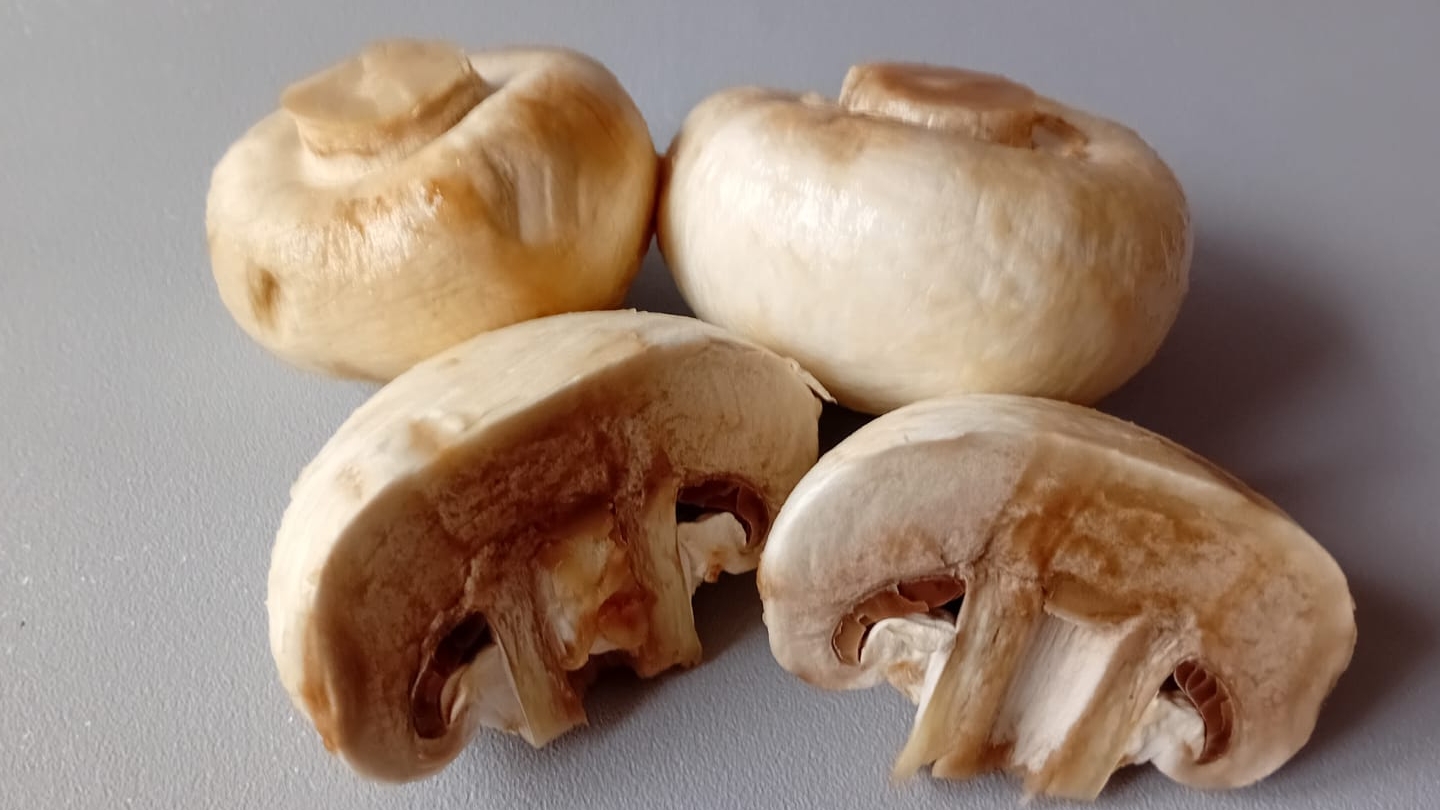 Вкусный грибной суп с шампиньонами смотреть онлайн