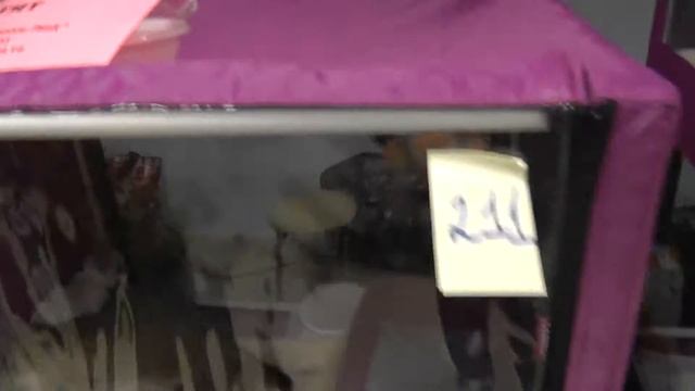 26.07.2014 ВЫСТАВКА КОШЕК в Казани 02536 смотреть онлайн