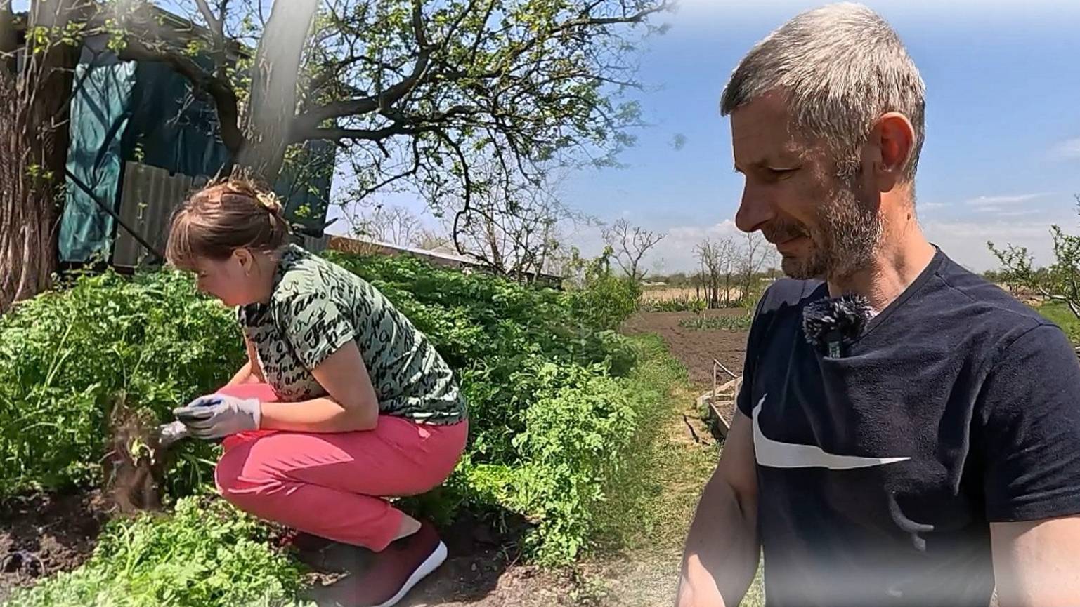 Весенние хлопоты и возвратные заморозки на юге