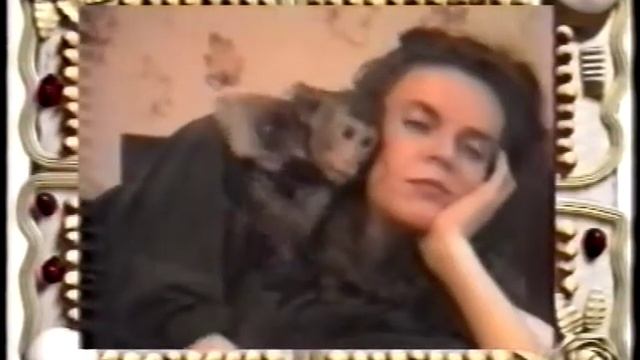 Смешное. Лучшее-24 смотреть онлайн