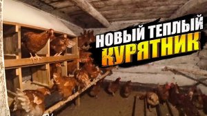 Новый курятник. Содержание кур несушек и как расположить поилки, подстилки и гнезда