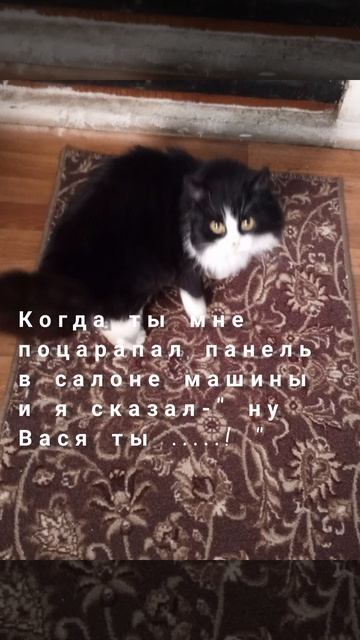 Прощай наш друг