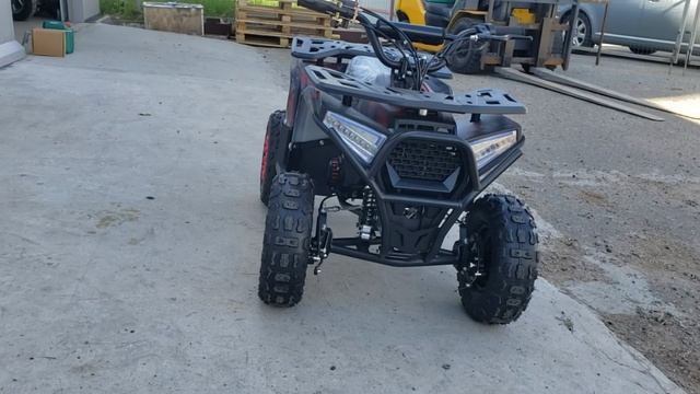 квадроцикл детский GRIZLIK MINI/MIDI ES PS BW ОБЗОРНОЕ ВИДЕО ДРУГ АВТО