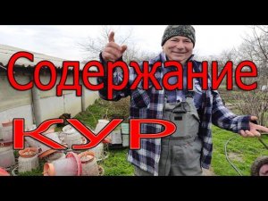 Условия содержания кур зимой