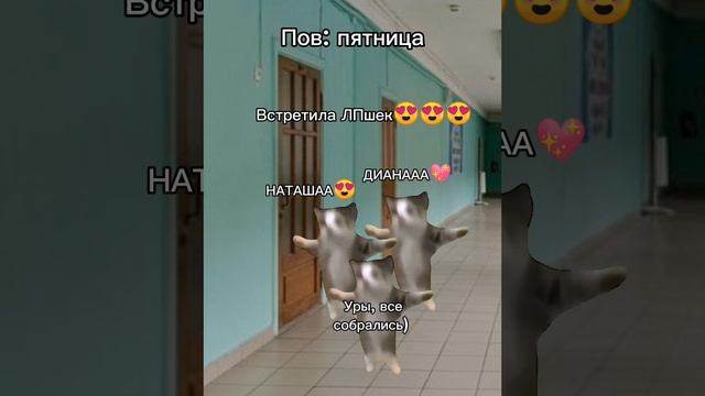 Пов: пятница #коты#мемныекоты#мем#пов#мойдень