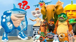 Новый ТРАЛАЛЕРО ТРАЛАЛА фаза 2 против всего семейства ИТАЛЬЯНСКИХ мемов