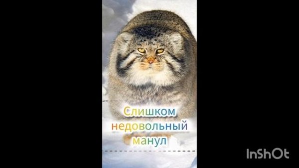 нарезка по catody