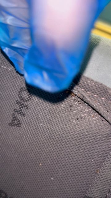 Спрятались за спинкой кровати 😱