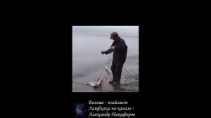 Рыбалка. Настоящий рыбак