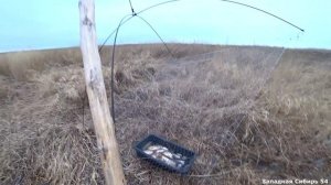 Натаскал ванну крупных карасей. Рыбалка на паук подъёмник весной.