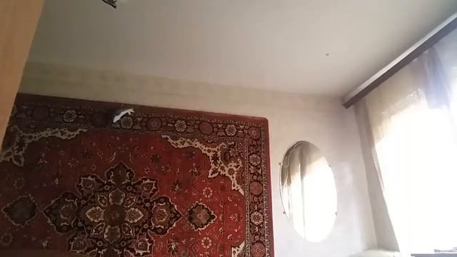 ХОЧУ СМЕЯТЬСЯ (5/ПЯТЬ) МИНУТ (#3/НОМЕР ТРИ). ПРИКОЛ. СМЕШНОЕ ВИДЕО. ПАРОДИЯ. смотреть онлайн