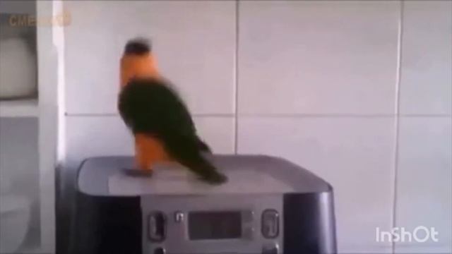 1 января 2024 г. смотреть онлайн