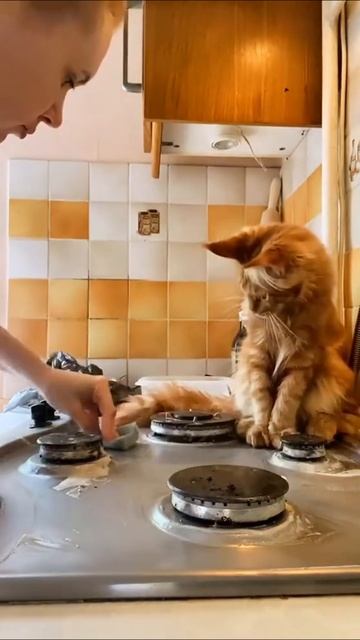 Работай кожаная, я прослежу