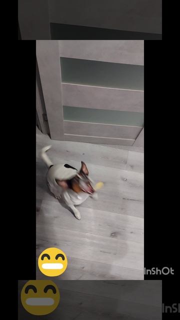 Майкимайк. Майкомка. Чипсы,вкусняшка. Скакого раза поймал?