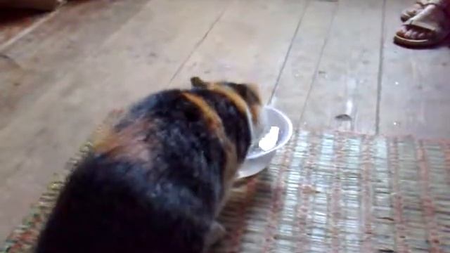 самый смешной рыбак смотреть онлайн