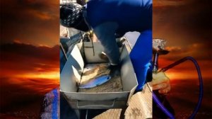 Олег монгол и безумный Паша Лучшая пьянка