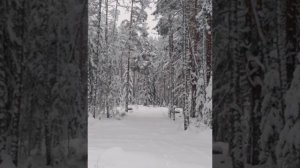 №78 Облегчение внутренних энергий