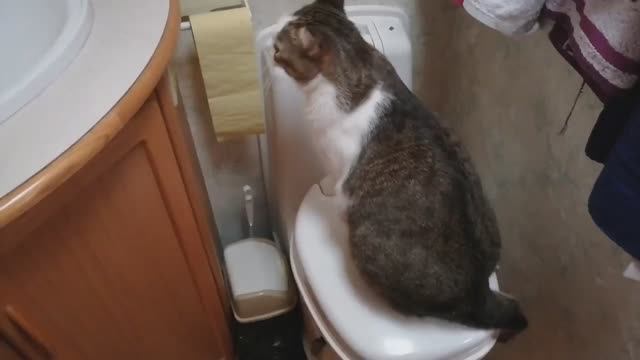 2021 г ПЕРВАЯ НОЧЁВКА _ ПОЛЯРНЫЙ КРУГ * караван * отпуск