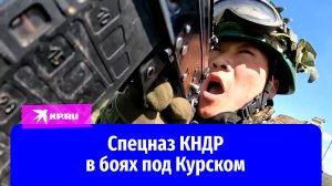 Кадры участия спецназа КНДР в боях в Курской области