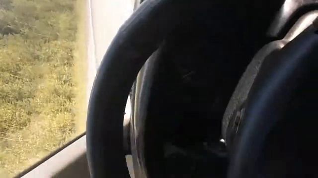 СИБИРСКИЙ КОТ ГРИШКА путешественник. смотреть онлайн