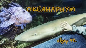 Океанариум Санкт Петербург видео 4K - Океанариум СПБ обзор