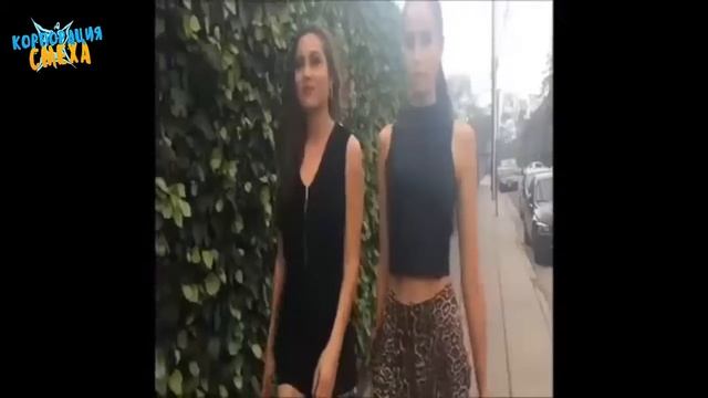 Топ 80 Женских Вайнов.Лучшие ВАЙНЫ.Top 80 Vine Girls I BestVine смотреть онлайн