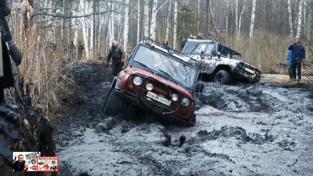 ветка сакуры 2019 и клуб СВОИ ждет друзей в гости смотреть онлайн